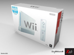 Wii Konsol (skyddsbox)